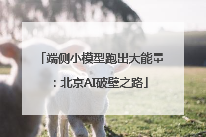 端侧小模型跑出大能量：北京AI破壁之路