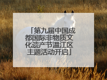 第九届中国成都国际非物质文化遗产节温江区主题活动开启