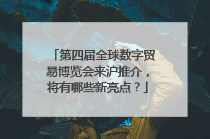 第四届全球数字贸易博览会来沪推介，将有哪些新亮点？