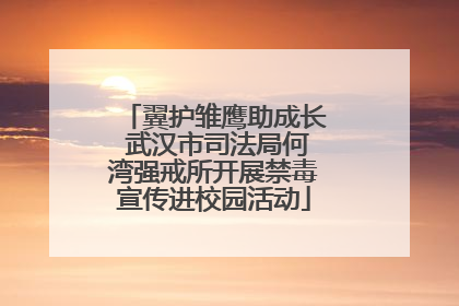 翼护雏鹰助成长 武汉市司法局何湾强戒所开展禁毒宣传进校园活动