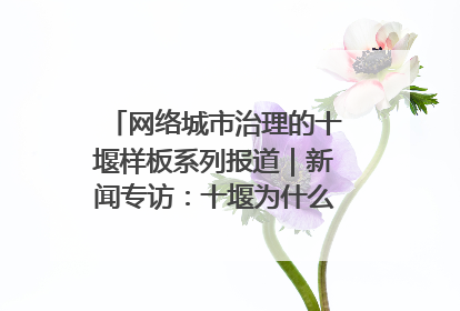 网络城市治理的十堰样板系列报道｜新闻专访：十堰为什么成为“黑马型”城市治理网络维度典型