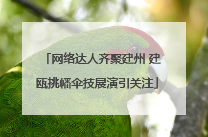 网络达人齐聚建州 建瓯挑幡伞技展演引关注