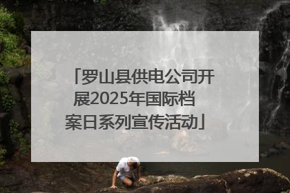 罗山县供电公司开展2025年国际档案日系列宣传活动