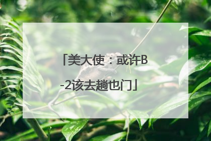 美大使：或许B-2该去趟也门