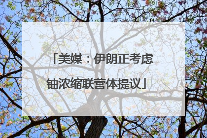 美媒：伊朗正考虑铀浓缩联营体提议