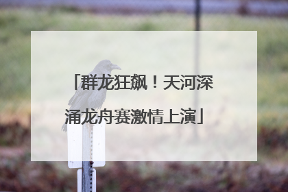 群龙狂飙！天河深涌龙舟赛激情上演