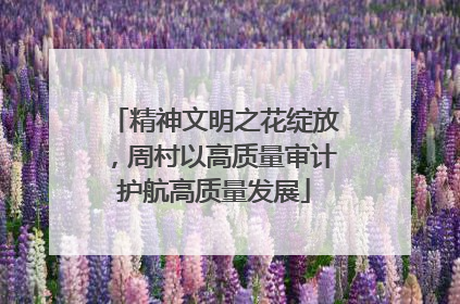 精神文明之花绽放，周村以高质量审计护航高质量发展
