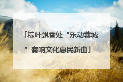 粽叶飘香处“乐动蓉城”奏响文化惠民新曲