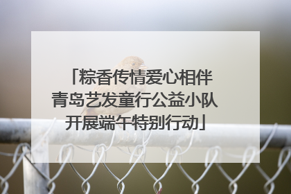 粽香传情爱心相伴 青岛艺发童行公益小队开展端午特别行动