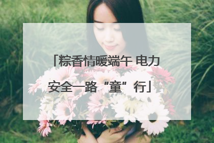 粽香情暖端午 电力安全一路“童”行