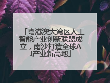 粤港澳大湾区人工智能产业创新联盟成立，南沙打造全球AI产业新高地