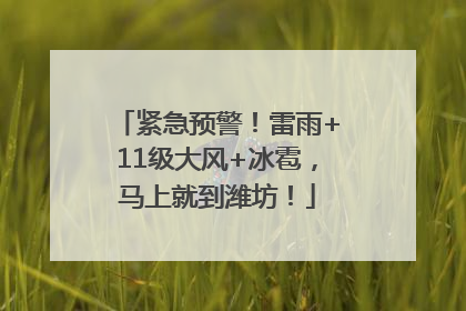 紧急预警！雷雨+11级大风+冰雹，马上就到潍坊！