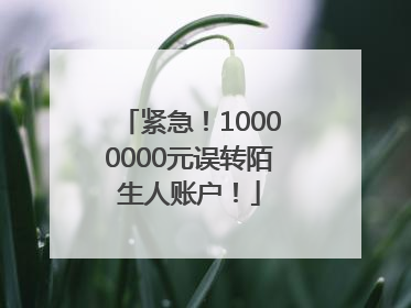 紧急！10000000元误转陌生人账户！