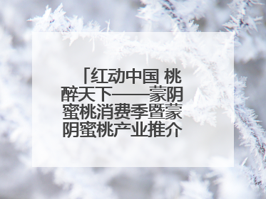 红动中国 桃醉天下——蒙阴蜜桃消费季暨蒙阴蜜桃产业推介会成功举办