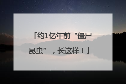 约1亿年前“僵尸昆虫”，长这样！