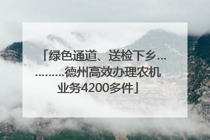 绿色通道、送检下乡…………德州高效办理农机业务4200多件