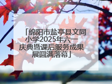 绵阳市盐亭县文同小学2025年六一庆典暨课后服务成果展圆满落幕