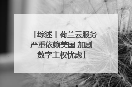 综述丨荷兰云服务严重依赖美国 加剧数字主权忧虑