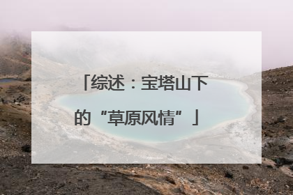 综述：宝塔山下的“草原风情”