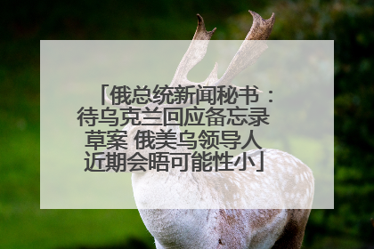 俄总统新闻秘书：待乌克兰回应备忘录草案 俄美乌领导人近期会晤可能性小