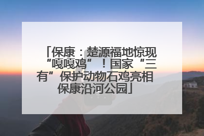 保康：楚源福地惊现“嘎嘎鸡”！国家“三有”保护动物石鸡亮相保康沿河公园