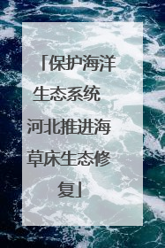 保护海洋生态系统 河北推进海草床生态修复