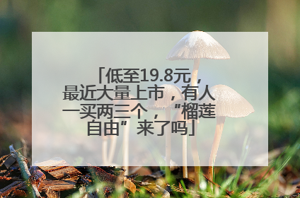 低至19.8元，最近大量上市，有人一买两三个，“榴莲自由”来了吗
