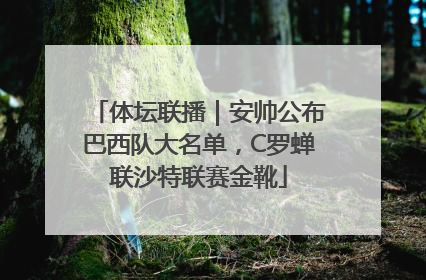 体坛联播｜安帅公布巴西队大名单，C罗蝉联沙特联赛金靴