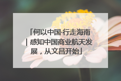 何以中国·行走海南｜感知中国商业航天发展，从文昌开始