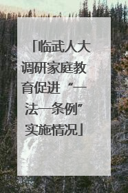 临武人大调研家庭教育促进“一法一条例”实施情况