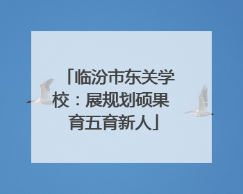 临汾市东关学校：展规划硕果 育五育新人