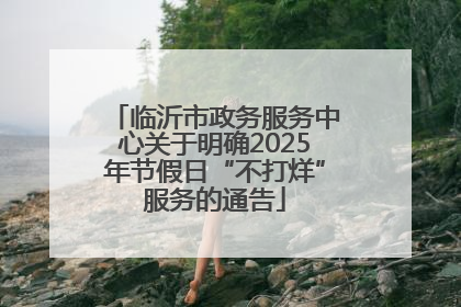 临沂市政务服务中心关于明确2025年节假日“不打烊”服务的通告