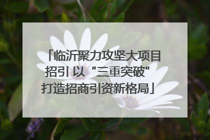 临沂聚力攻坚大项目招引 以“三重突破”打造招商引资新格局