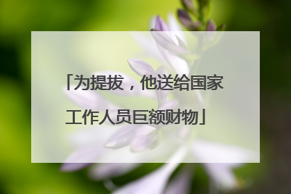 为提拔，他送给国家工作人员巨额财物