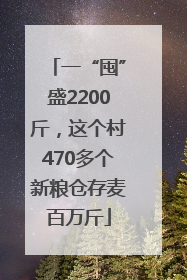 一“囤”盛2200斤，这个村470多个新粮仓存麦百万斤