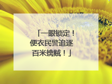一眼锁定！便衣民警追逐百米擒贼！