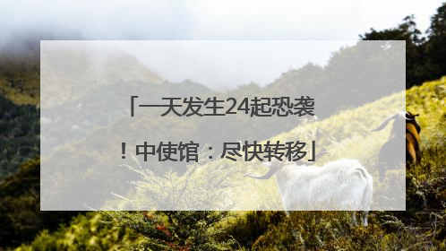 一天发生24起恐袭！中使馆：尽快转移