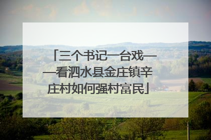 三个书记一台戏——看泗水县金庄镇辛庄村如何强村富民