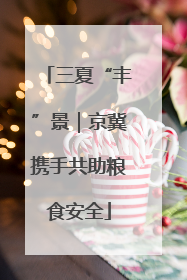三夏“丰”景｜京冀携手共助粮食安全