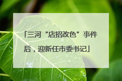 三河“店招改色”事件后，迎新任市委书记