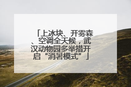 上冰块、开雾森、空调全天候，武汉动物园多举措开启“消暑模式”