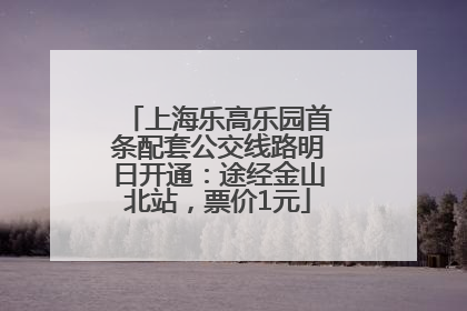 上海乐高乐园首条配套公交线路明日开通：途经金山北站，票价1元