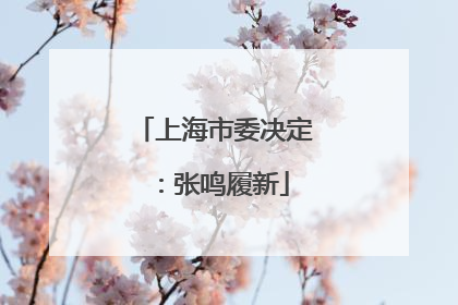 上海市委决定：张鸣履新