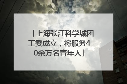 上海张江科学城团工委成立，将服务40余万名青年人