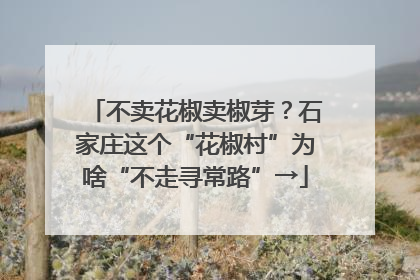不卖花椒卖椒芽？石家庄这个“花椒村”为啥“不走寻常路”→