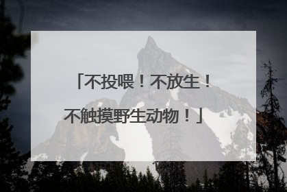 不投喂！不放生！不触摸野生动物！