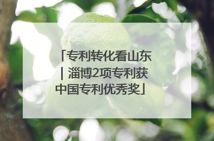 专利转化看山东｜淄博2项专利获中国专利优秀奖