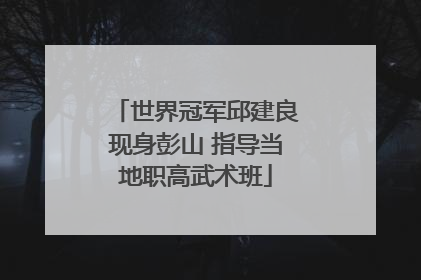 世界冠军邱建良现身彭山 指导当地职高武术班