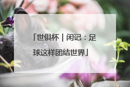 世俱杯｜闲记：足球这样团结世界