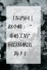 东西问｜赵小峰：“秦岭工坊”何以扬帆出海？